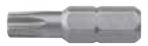 T10 Torx (Star) Bit (1" Long, 1/4" Hex)